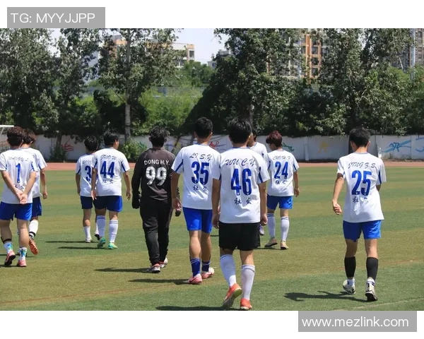 厄德高引领新潮流探讨足球战术与团队协作的完美结合