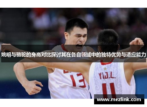 姚明与骆驼的身高对比探讨其在各自领域中的独特优势与适应能力