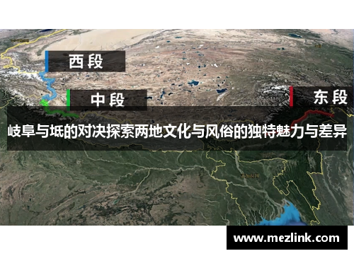 岐阜与坻的对决探索两地文化与风俗的独特魅力与差异