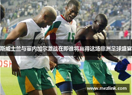 斯威士兰与塞内加尔激战在即谁将赢得这场非洲足球盛宴